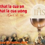 Chúa nhật XX thường niên, năm B: Các bài suy niệm & chú giải Lời Chúa