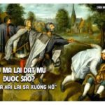 Chúa nhật VIII thường niên, năm C: Các bài suy niệm & chú giải Lời Chúa