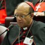 Cuộc gặp gỡ bảo vệ trẻ em trong Giáo Hội (2)