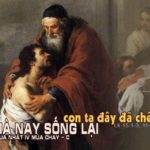 Chúa nhật IV mùa Chay, năm C: Các bài suy niệm & chú giải Lời Chúa
