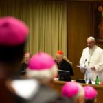 Đức Giáo hoàng Phanxicô: Truyền chức những người đã kết hôn “hoàn toàn không phải là đề tài chính của hội nghị Amazon”