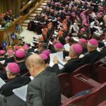 Phiên họp toàn thể thứ hai của Thượng Hội đồng Amazon