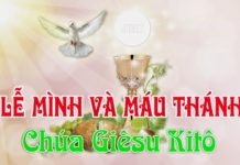 Lễ Mình và Máu Thánh Chúa Kitô, năm A: Các bài suy niệm & chú giải Lời Chúa