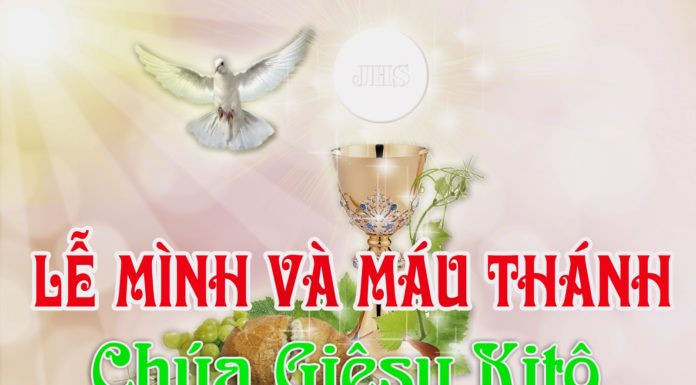Lễ Mình và Máu Thánh Chúa Kitô, năm A: Các bài suy niệm & chú giải Lời Chúa