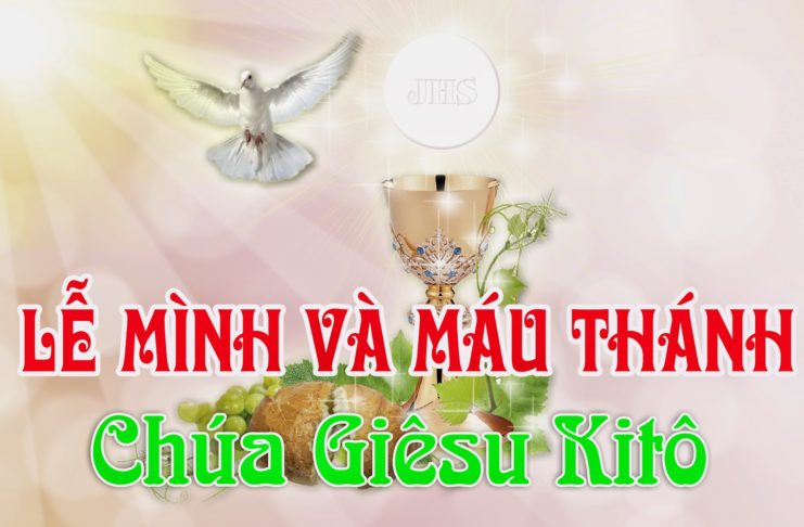 Lễ Mình và Máu Thánh Chúa Kitô, năm A: Các bài suy niệm & chú giải Lời Chúa