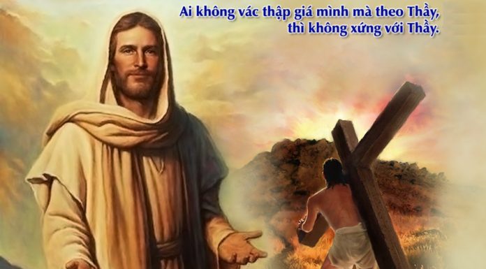 Chúa nhật XIII thường niên, năm A: Các bài suy niệm & chú giải Lời Chúa