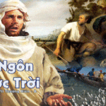 Chúa nhật XVII thường niên, năm A: Các bài suy niệm & chú giải Lời Chúa