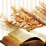 Chúa nhật XVI thường niên, năm A: Các bài suy niệm & chú giải Lời Chúa