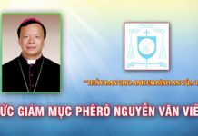 Đức Thánh Cha bổ nhiệm Giám quản Tông toà Giáo phận Hưng Hoá