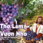 Chúa nhật XXV thường niên, năm A: Các bài suy niệm & chú giải Lời Chúa