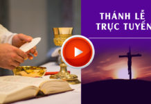 GPVO – Thánh lễ trực tuyến ngày 22-6-2021: Thứ Ba tuần XII thường niên, lúc 19g30