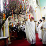 Giáo xứ Xã Đoài: Thánh lễ minh niên Nhâm Dần, cầu bình an năm mới