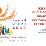 Noi theo Đức Giáo hoàng Phanxicô: Đối thoại trong Fratelli Tutti