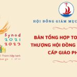 Hội đồng Giám mục Việt Nam: Bản tổng hợp toàn quốc cho Thượng Hội đồng Giám mục Cấp giáo phận