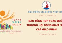 Hội đồng Giám mục Việt Nam: Bản tổng hợp toàn quốc cho Thượng Hội đồng Giám mục Cấp giáo phận