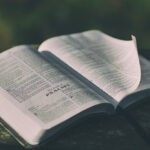 Kinh Thánh là bức thư tình dành cho bạn