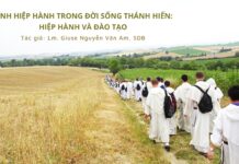 Tính hiệp hành trong đời sống thánh hiến – Hiệp hành và đào tạo