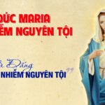 Ơn Vô nhiễm Nguyên tội của Đức Maria đến từ Thiên Chúa
