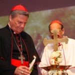 Đức Hồng y Mario Grech than phiền sự chống đối Thượng Hội đồng Giám mục về đồng hành