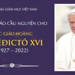 Hội đồng Giám mục Việt Nam thông báo cầu nguyện cho Đức Thánh Cha Bênêđictô XVI