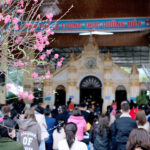 Những ngày vãn Tết … gói một trời tình quê