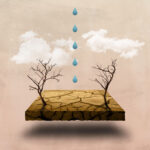 Đức Giê-su Ki-tô, Đường Ân Sủng