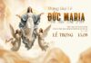 Các bài suy niệm Lễ Đức Maria Hồn Xác Lên Trời