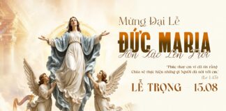 Các bài suy niệm Lễ Đức Maria Hồn Xác Lên Trời