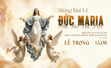 Các bài suy niệm Lễ Đức Maria Hồn Xác Lên Trời