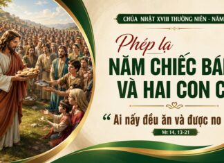 Chúa nhật XVIII thường niên, năm A: Các bài suy niệm & chú giải Lời Chúa