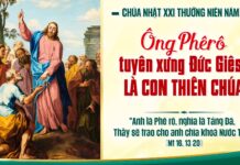 Chúa nhật XXI thường niên, năm A: Các bài suy niệm & chú giải Lời Chúa
