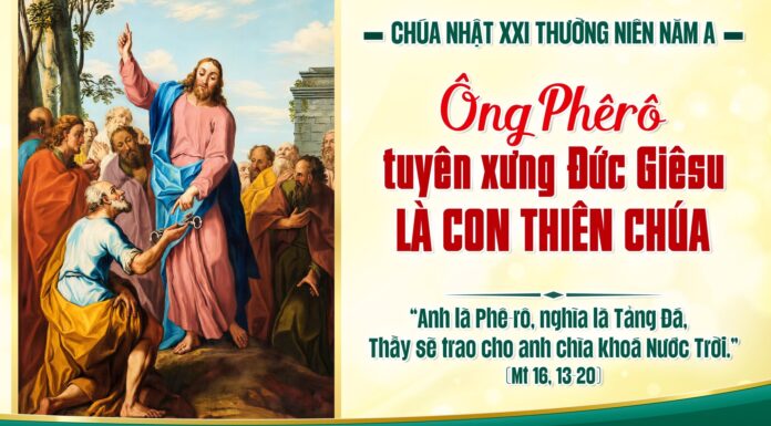 Chúa nhật XXI thường niên, năm A: Các bài suy niệm & chú giải Lời Chúa
