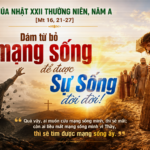 Chúa nhật XXII thường niên, năm A: Các bài suy niệm & chú giải Lời Chúa