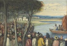 Lời nguyện tín hữu | Chúa nhật XVI thường niên năm B