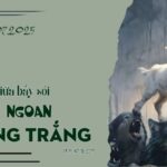 Chiên giữa bầy sói!