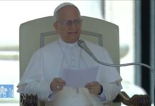 Tiếp kiến chung 30/7/2025 – Đức Thánh Cha Lêô XIV: Hãy sử dụng lời nói để chữa lành chứ đừng gây tổn thương người khác