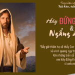 Hãy đứng thẳng & ngẩng đầu lên