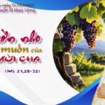 Lòng sám hối phải trở thành hành động