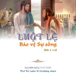 Luật lệ bảo vệ sự sống