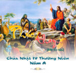 Chúa nhật IV thường niên, năm A: Các bài suy niệm & chú giải Lời Chúa