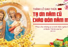 Các bài suy niệm Lễ Giao Thừa & Mồng Một Tết Nguyên Đán 2026