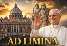 Ad limina là gì?