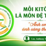 Mỗi Ki tô hữu là một môn đệ thừa sai – “Anh em là ánh sáng thế gian” (Mt 5, 14)