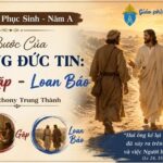 Chúa Nhật III Phục Sinh – Năm A: Ba Bước Của Đời Sống Đức Tin: Nghe – Gặp – Loan Báo