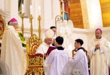 Giáo phận Vinh: Thánh lễ Truyền Dầu năm 2026