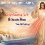 Chúa Nhật II Phục Sinh – Năm A: Lòng Thương Xót: Từ Nguồn Mạch Đến Đời Sống