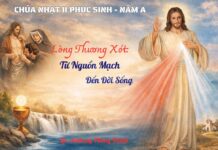 Chúa Nhật II Phục Sinh – Năm A: Lòng Thương Xót: Từ Nguồn Mạch Đến Đời Sống