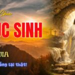 Chúa nhật Phục Sinh, năm A: Các bài suy niệm & chú giải Lời Chúa