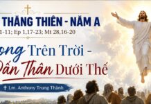 Lễ Chúa Thăng Thiên – Năm A: Hy vọng trên trời – Dấn thân dưới thế