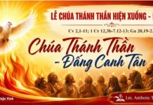 Lễ Chúa Thánh Thần Hiện Xuống – Năm A: Chúa Thánh Thần – Đấng Canh Tân